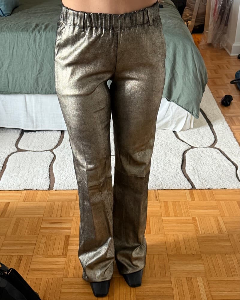 Metallic Leather Pants - Image 1