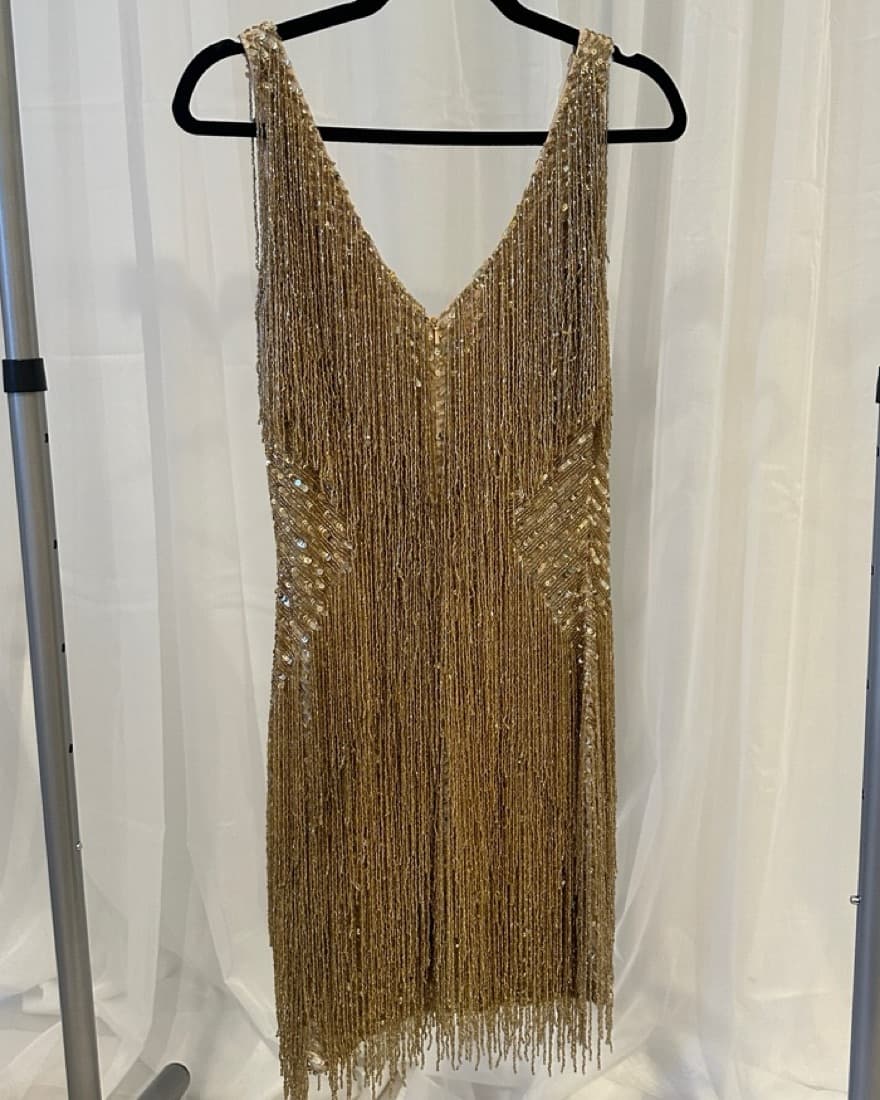 Nadine Merabi Gatsby Dress - Image 4