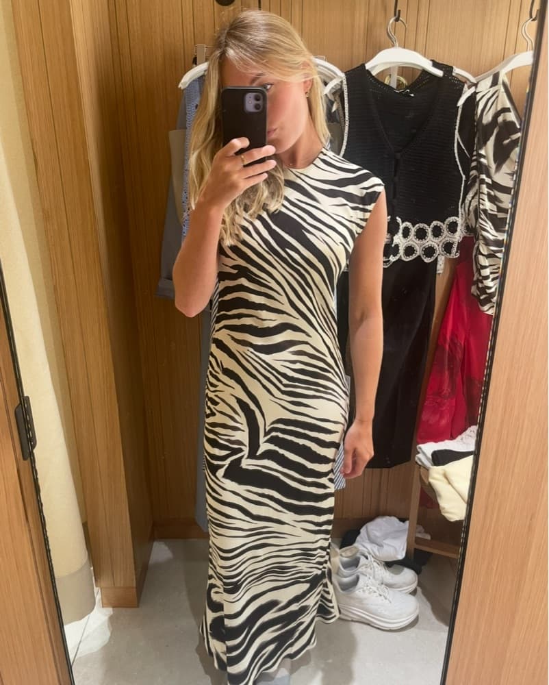 Mango Zebra Dress - Image 1