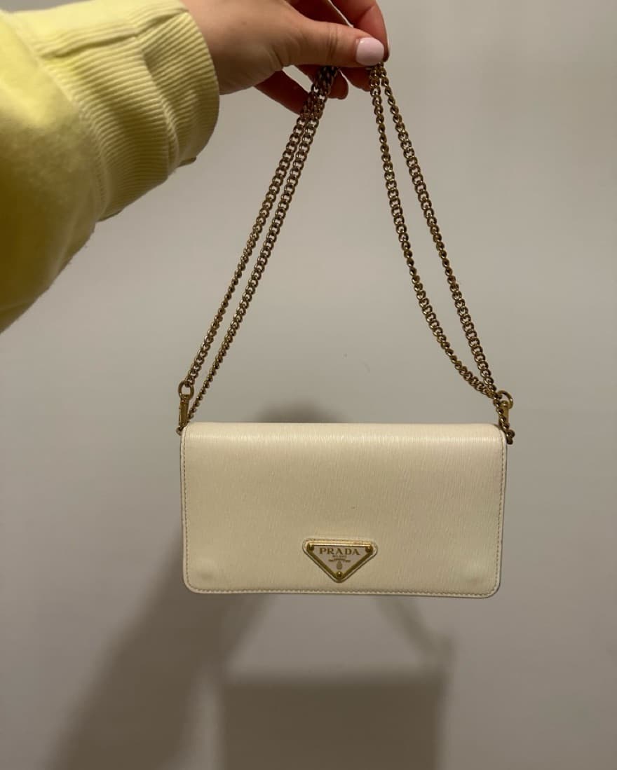 Prada Crossbody Wallet On Chani - Image 1