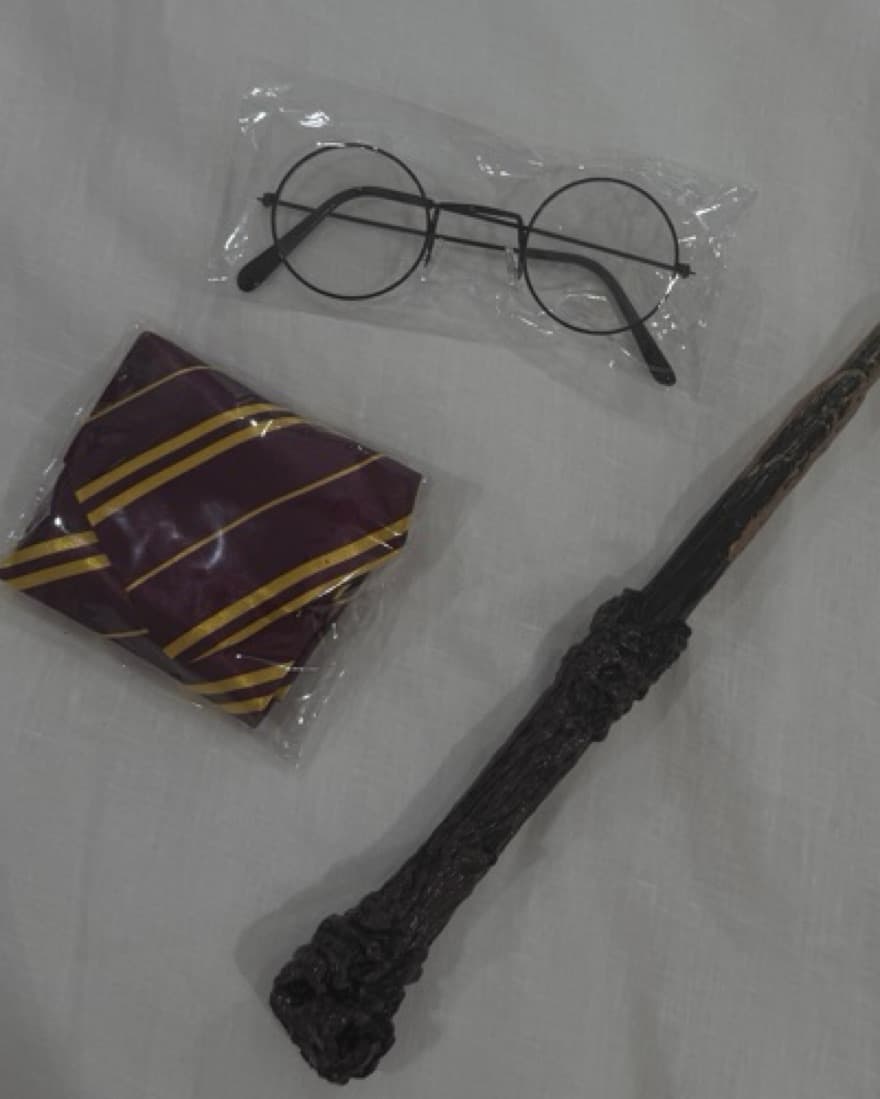 Harry Potter Costume Accessories - Image 2