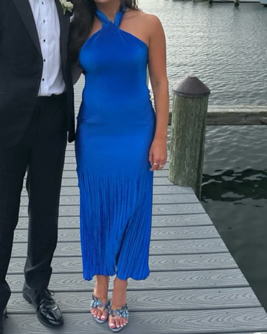 Lidee Sleeveless Blue Pleated Gown - Image 2