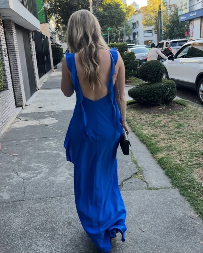 Amanda Uprichard Blue Dress  - Image 4