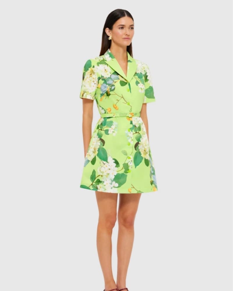 Leo Lin Brigitte Mini Dress - Image 5