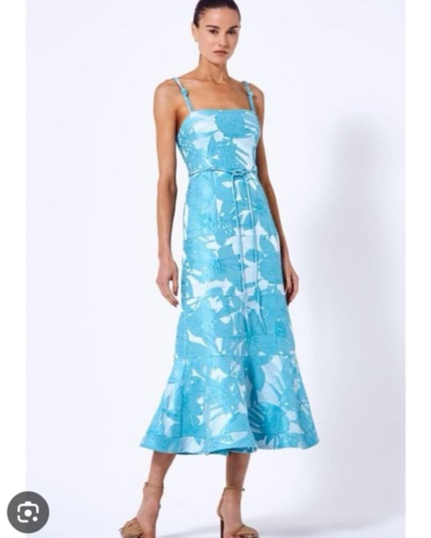 Alexis Delphine Midi Dress - Image 1