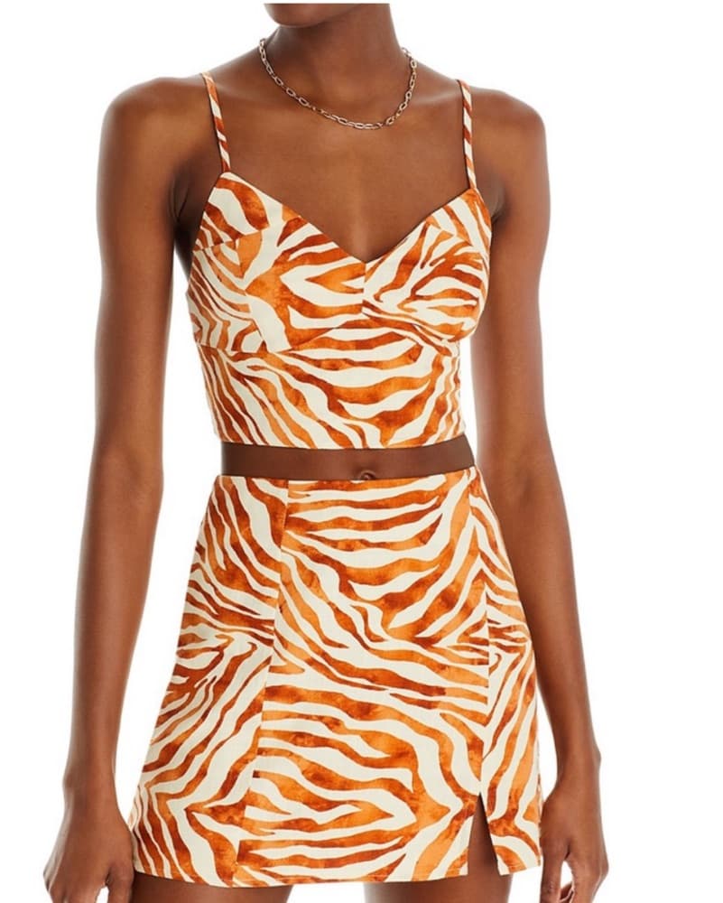 Aqua Zebra Top & Skirt Set  - Image 2
