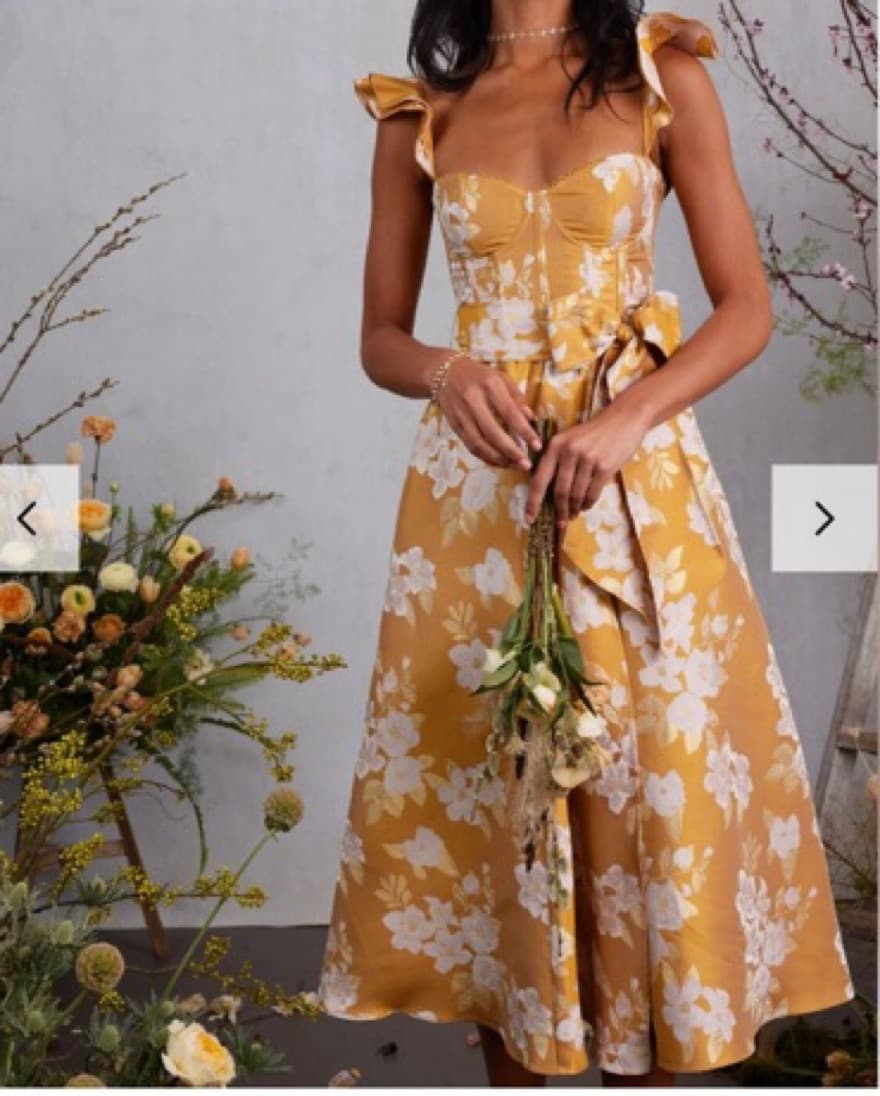 V Chapman Vera Ruffel Dress - Image 5
