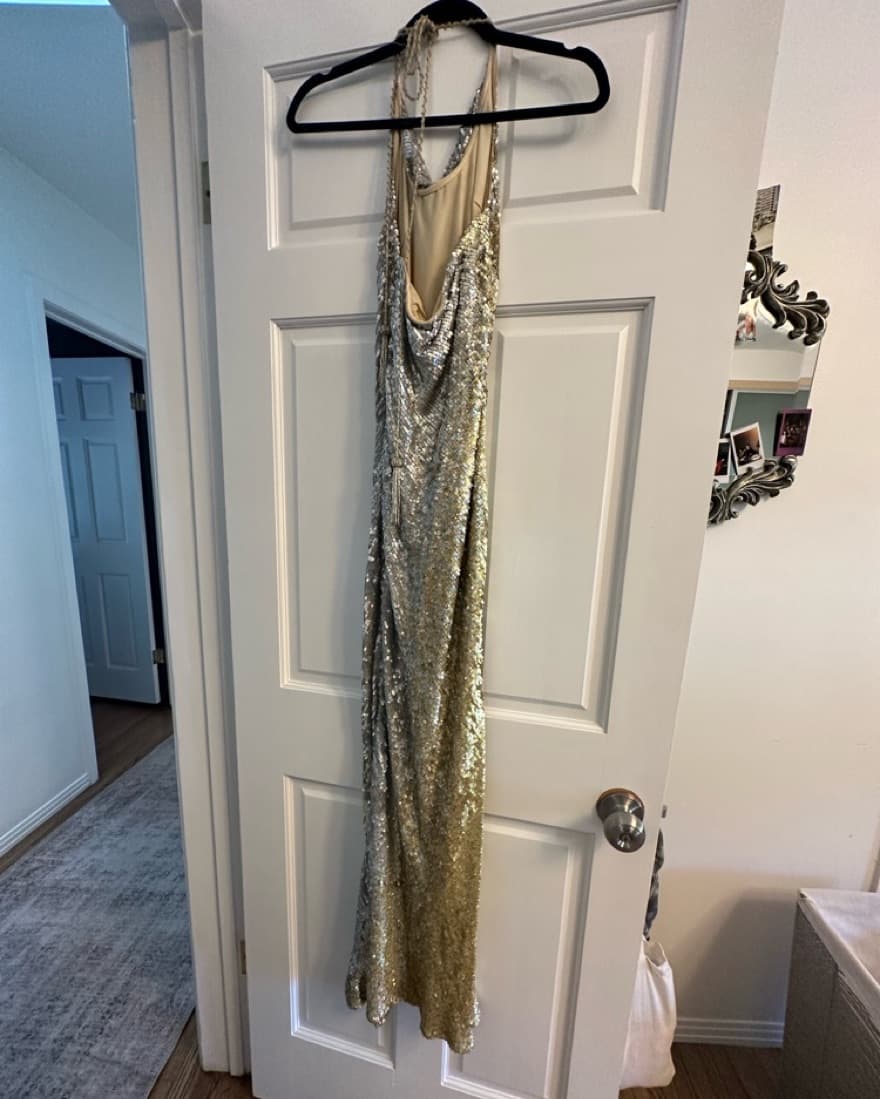Sequined Ombre Silver And Gols Gown - Image 6