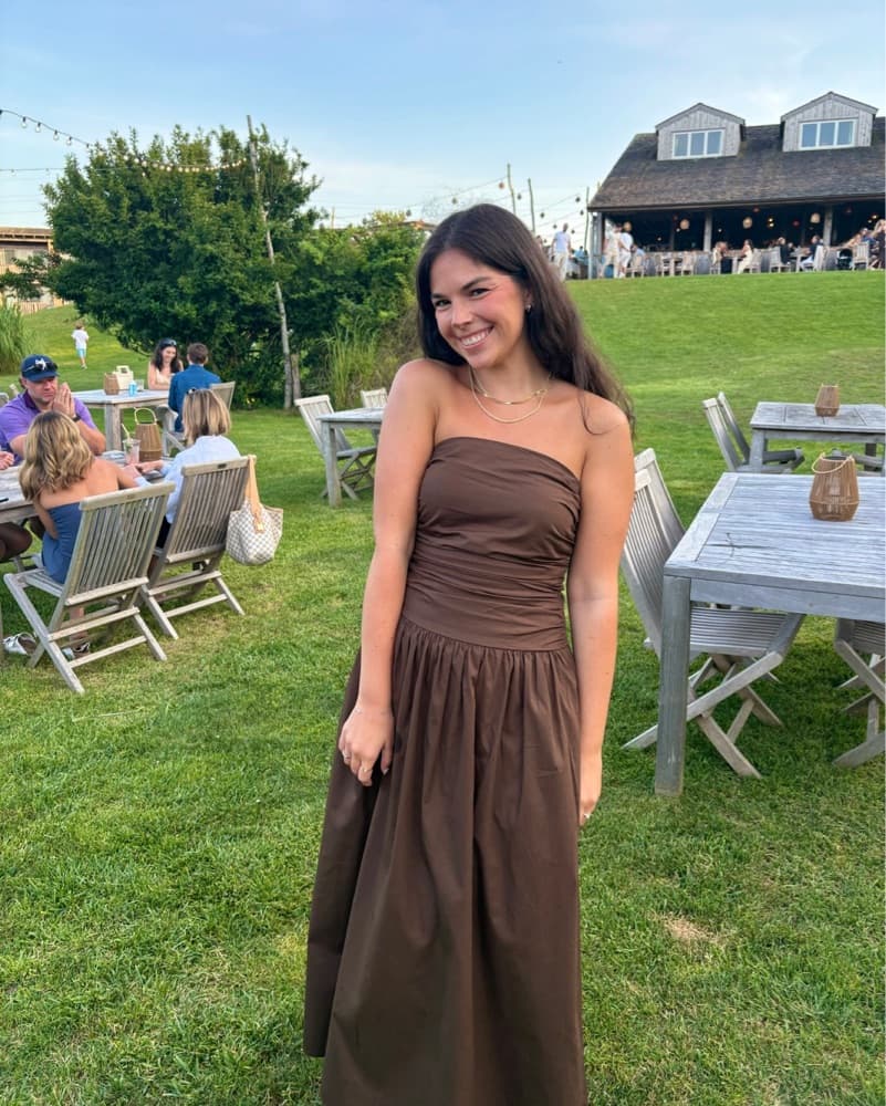 Brown Dress - Image 1