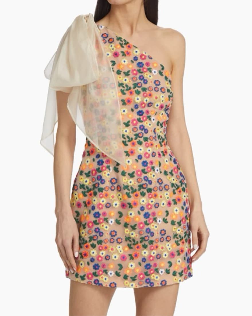 Elliatt mini Dress - Image 1
