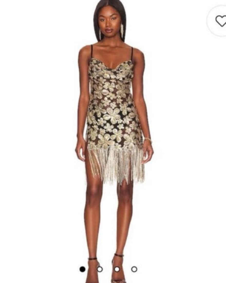 For Love & Lemons Sparkly Dress - Image 1
