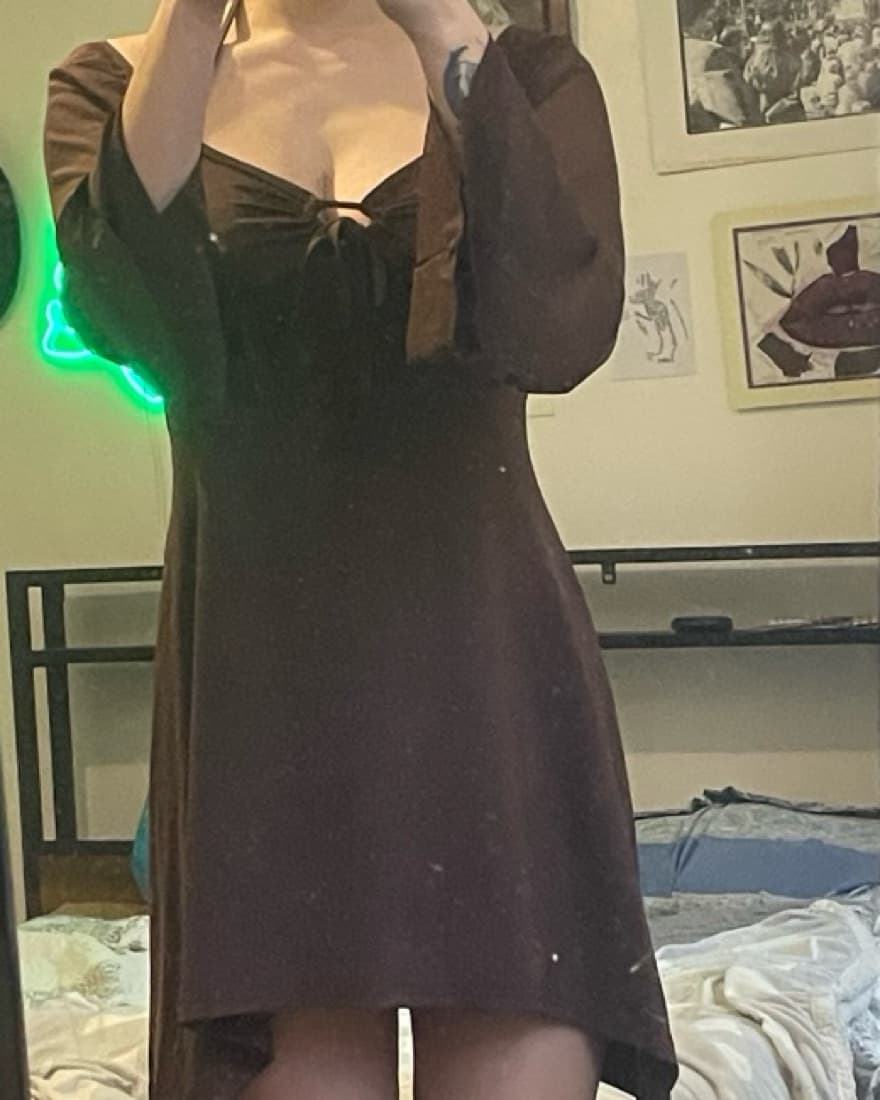 Brown Sheer Cider Dress - Image 3