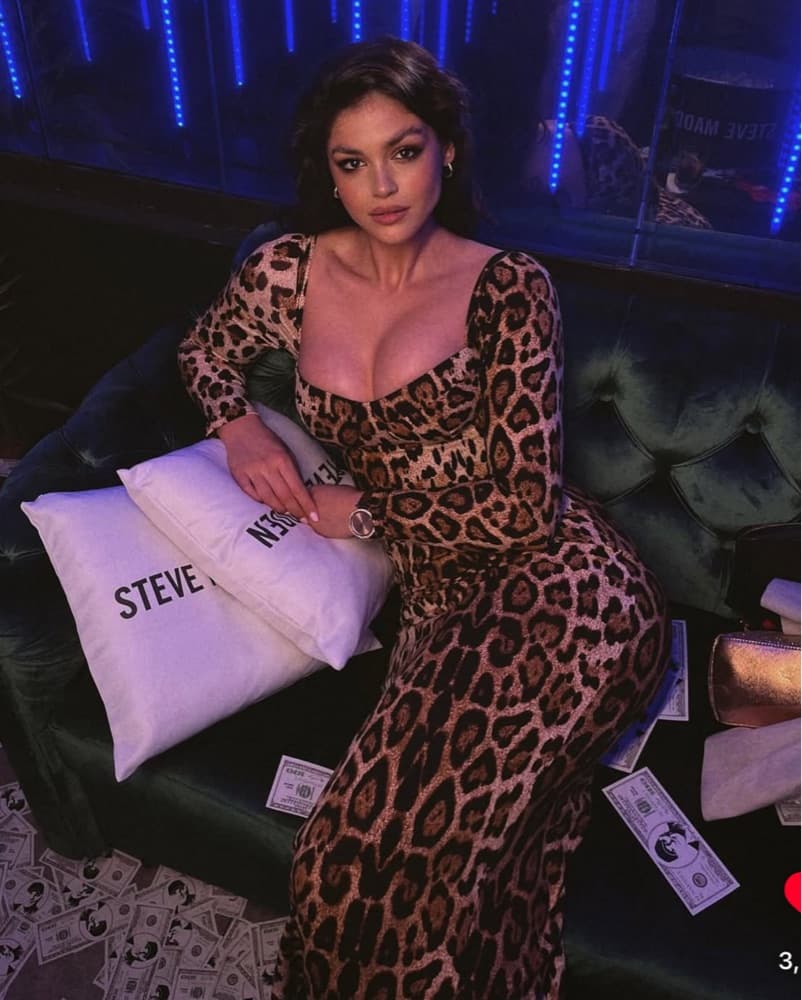 MYKASH • Stunning Cairo Leopard Dress - Image 3