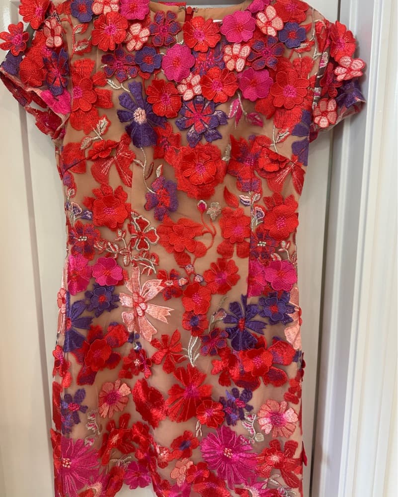Elliat Red & Nude 3D Floral Dress - Image 3