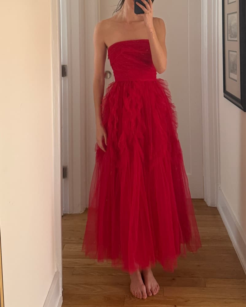 BCBG Pleated Tulle Gown - Image 1