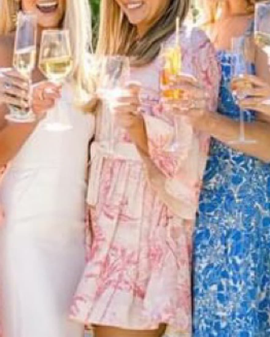 Mestiza Pink Carmen Toile Print Mini - Image 3