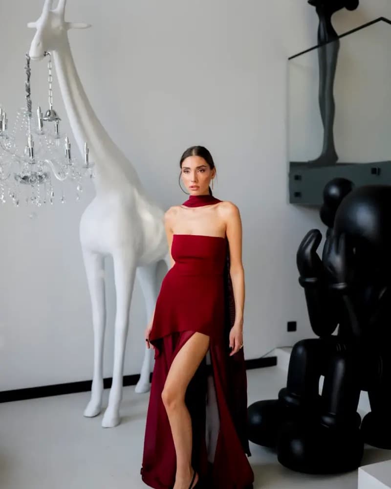 NWT maroon Matterstore Monaco Dress  - Image 3