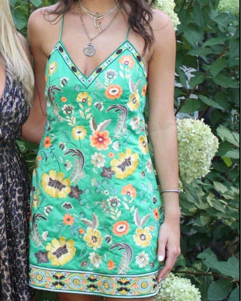Alice + Olivia Tayla Embroidered Mini Dr - Image 4