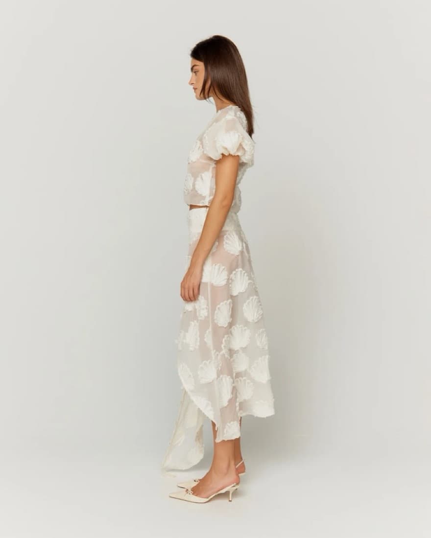 House Of Sunny Scattered Shells Set - Image 4