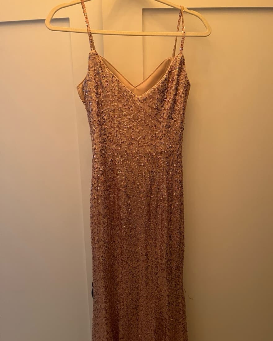 Sequin Nude Gown  - Image 6