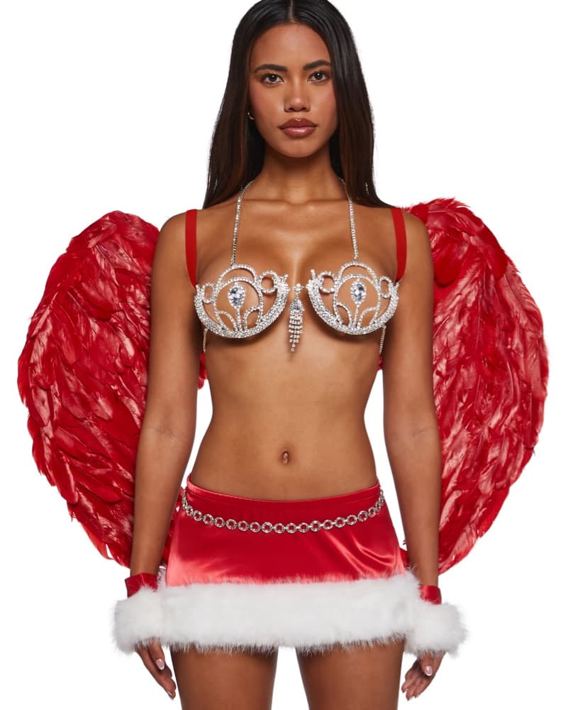 Victoria’s Secret Costume - Image 2