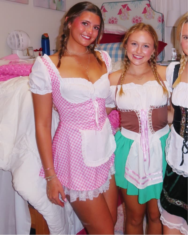 Oktoberfest dress - Image 2