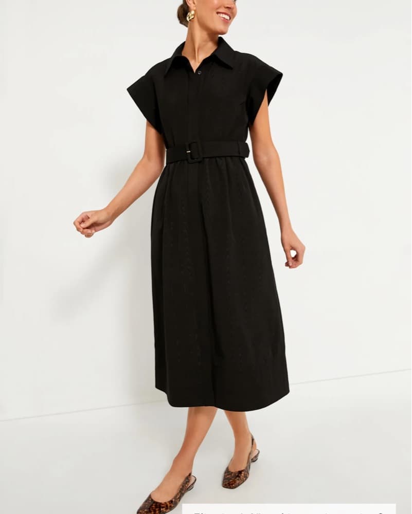 Tuckernuck Chloe Dress - Image 1