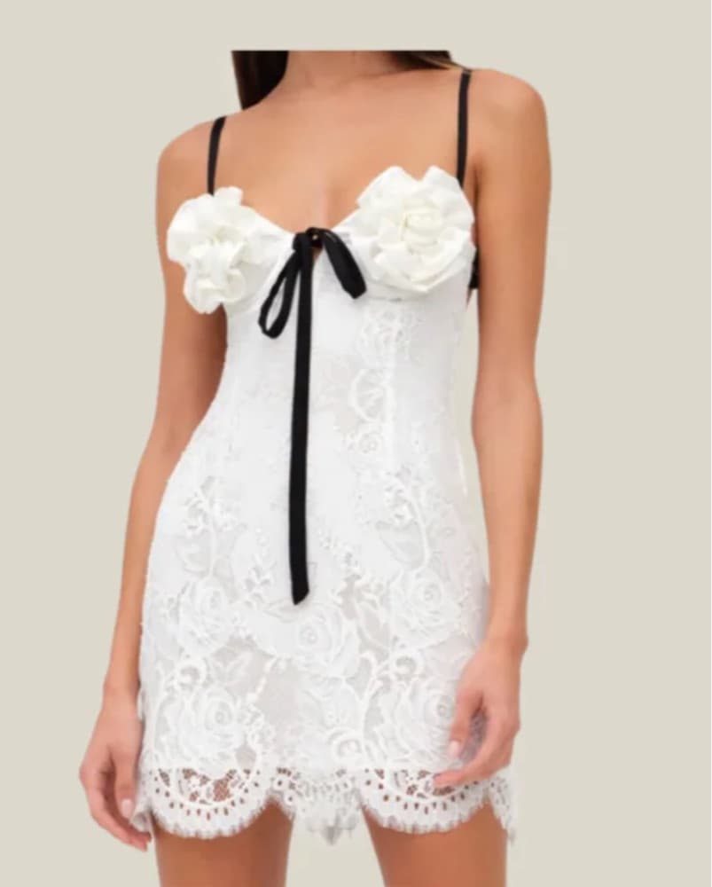 Elegant Lace Mini Dress - Image 1