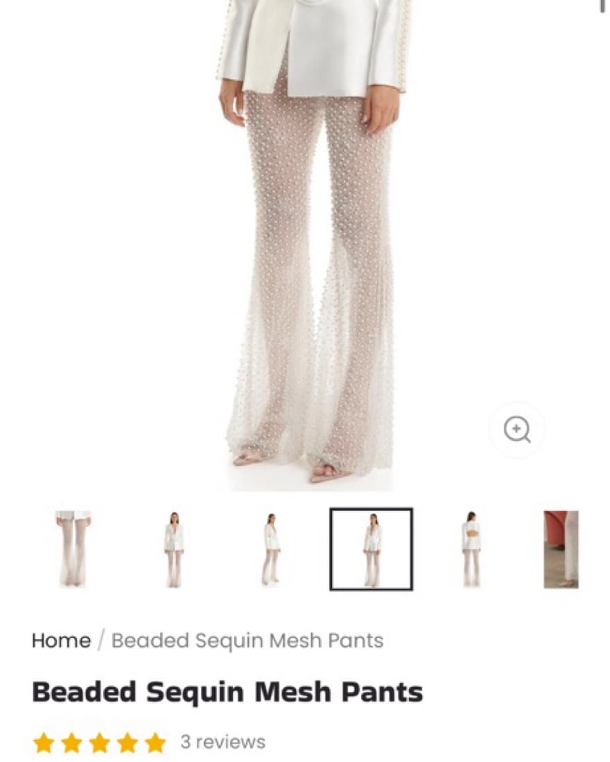 Beaded Sequin Mesh Pants - Jardin Vue - Image 2