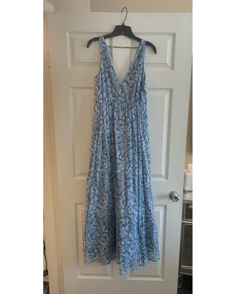 Club Monaco Sleeveless Organza Maxi Dres - Image 6