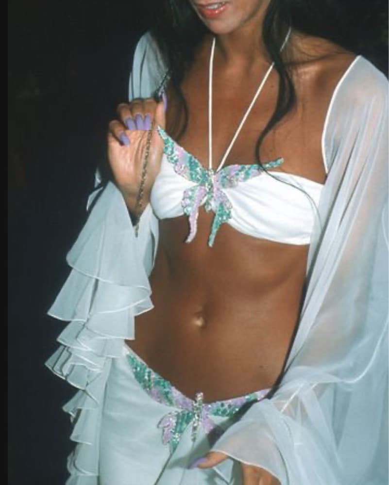 cher butterfly costume  - Image 2