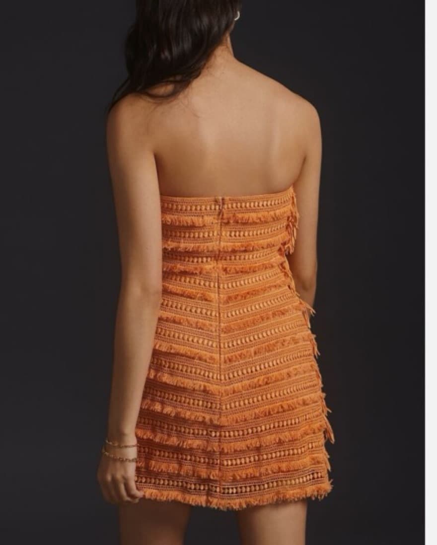 Anthropologie Fringe Dress - Image 4