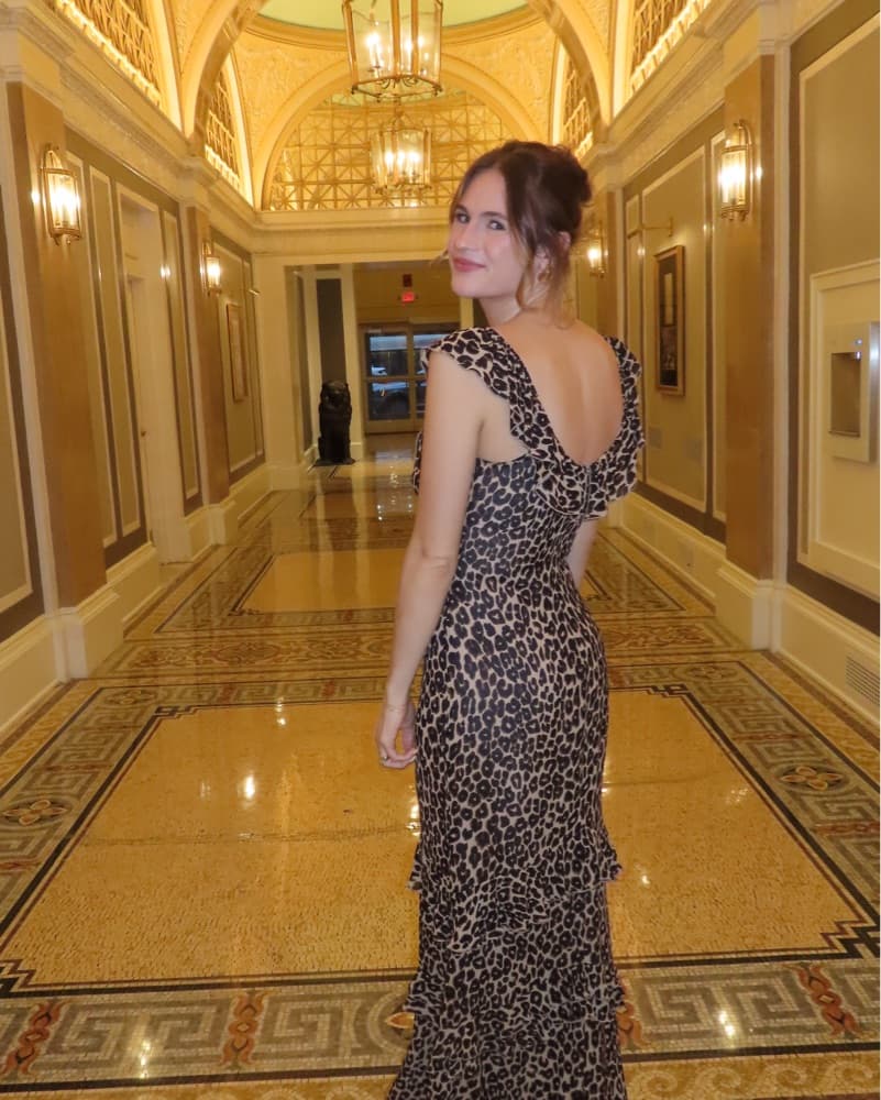 Reformation Tripoli Dress - Image 2