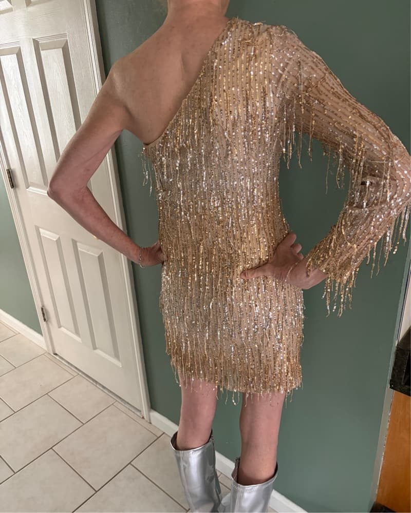 Gold and Silver Dress - Image 2