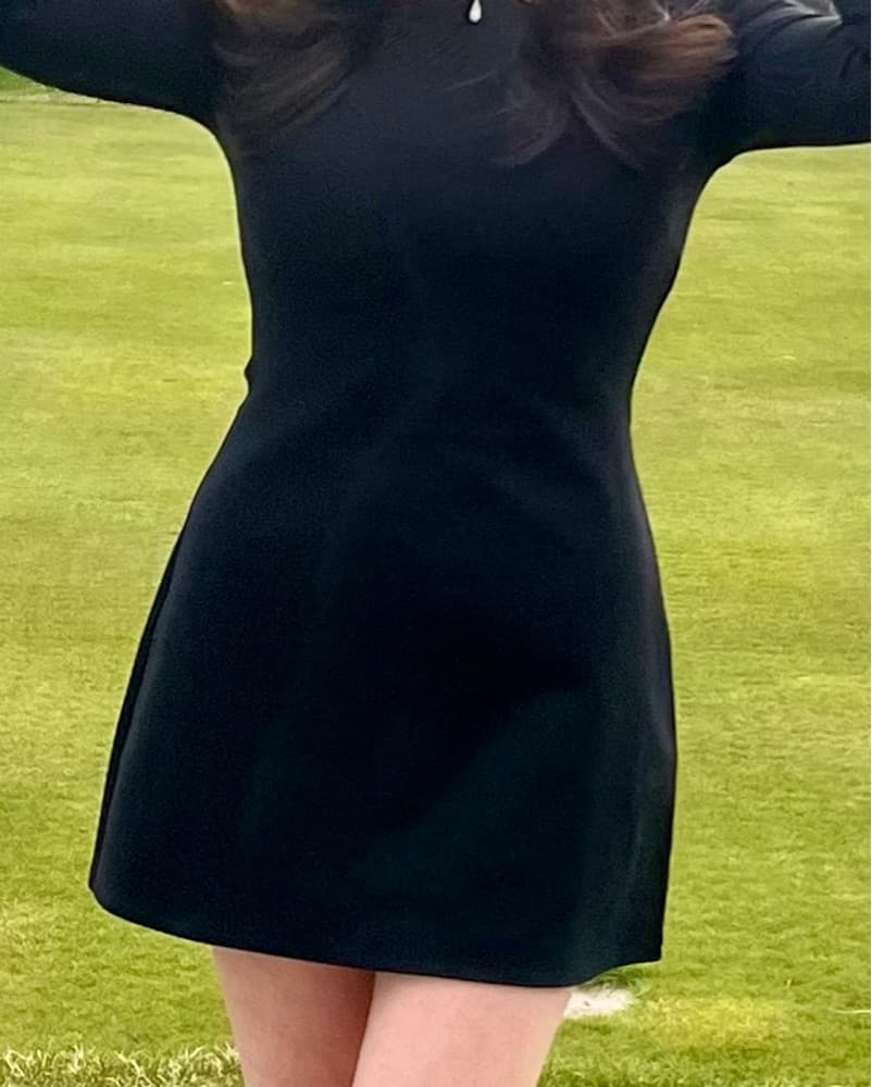 Wilfred Black Structred Chic Dress - Image 2