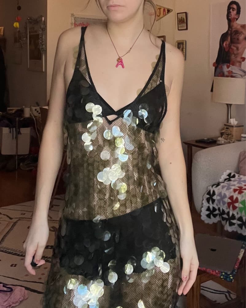 Sequin Sheer Dress- ZARA With Tags  - Image 3