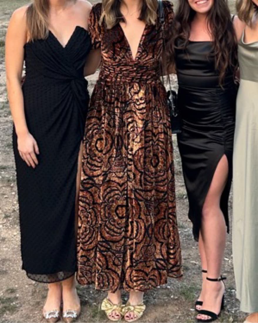 Anthropologie Burnout Dress - Image 4