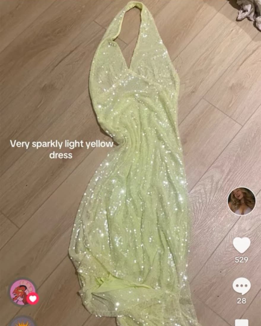 Shimmering Light Yellow Sequin Gown - Image 4