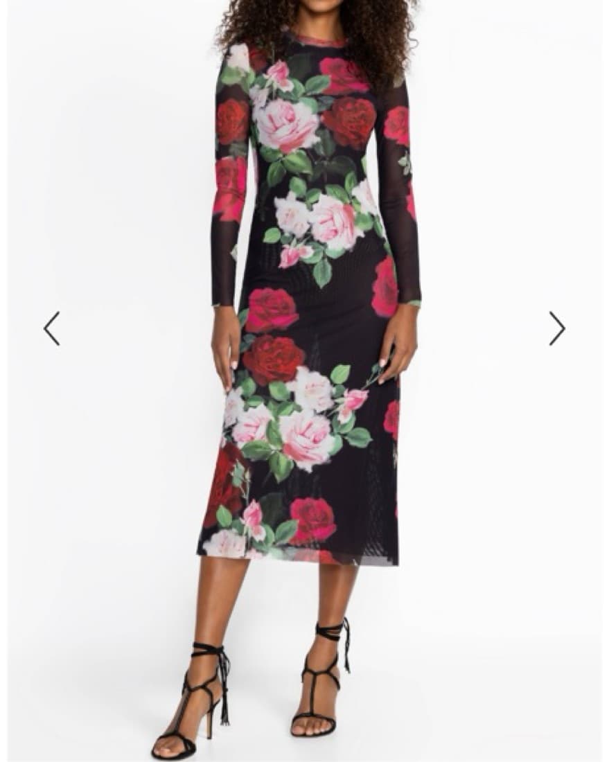 Mesh floral Dress - Image 1