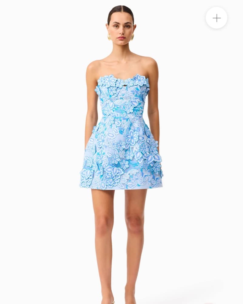 Roseate Floral Mini Dress in Blue - Image 1