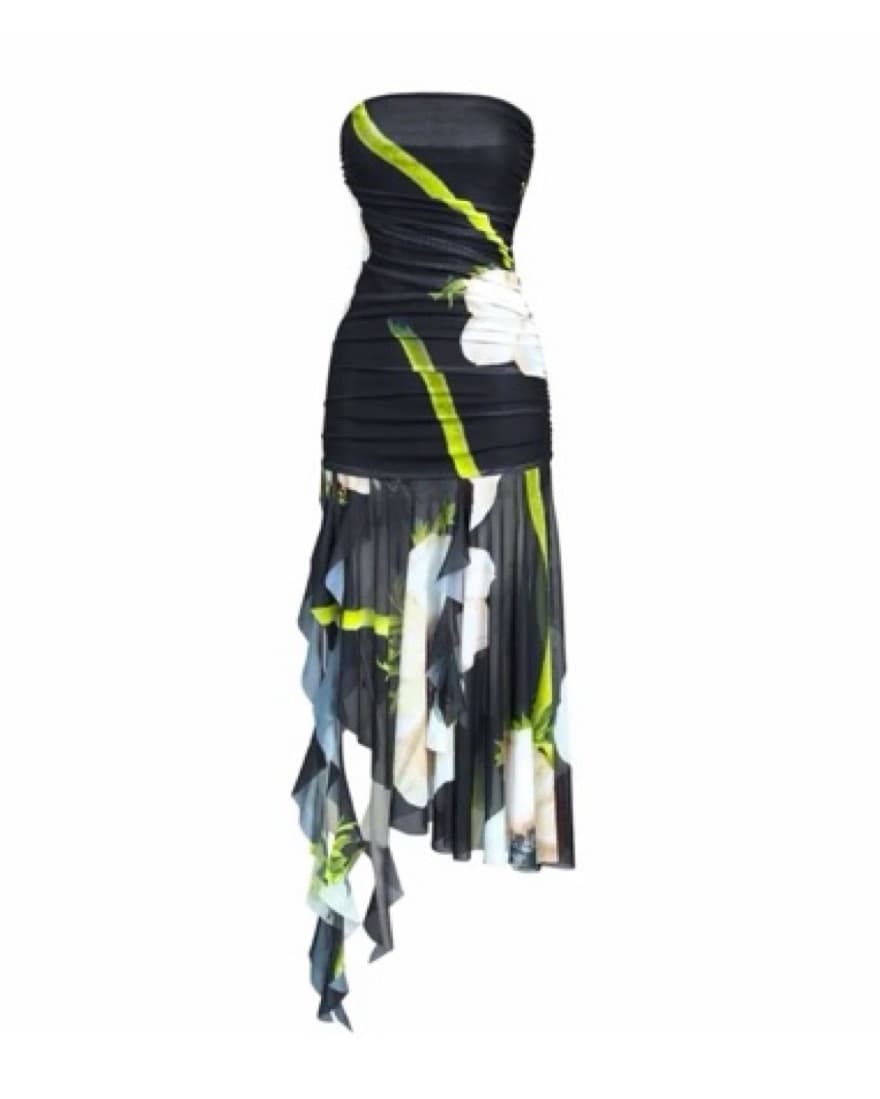 Zara Strapless Printed Tulle Dress - Image 2