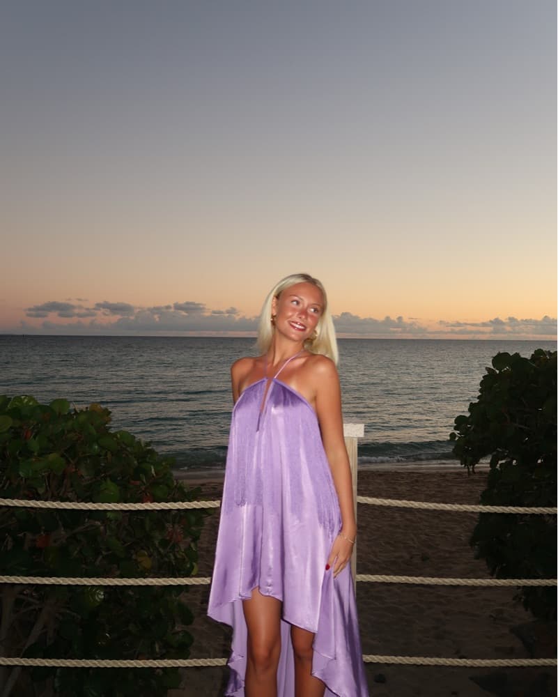 Michael costelloXRevolve Maxi Dress - Image 2