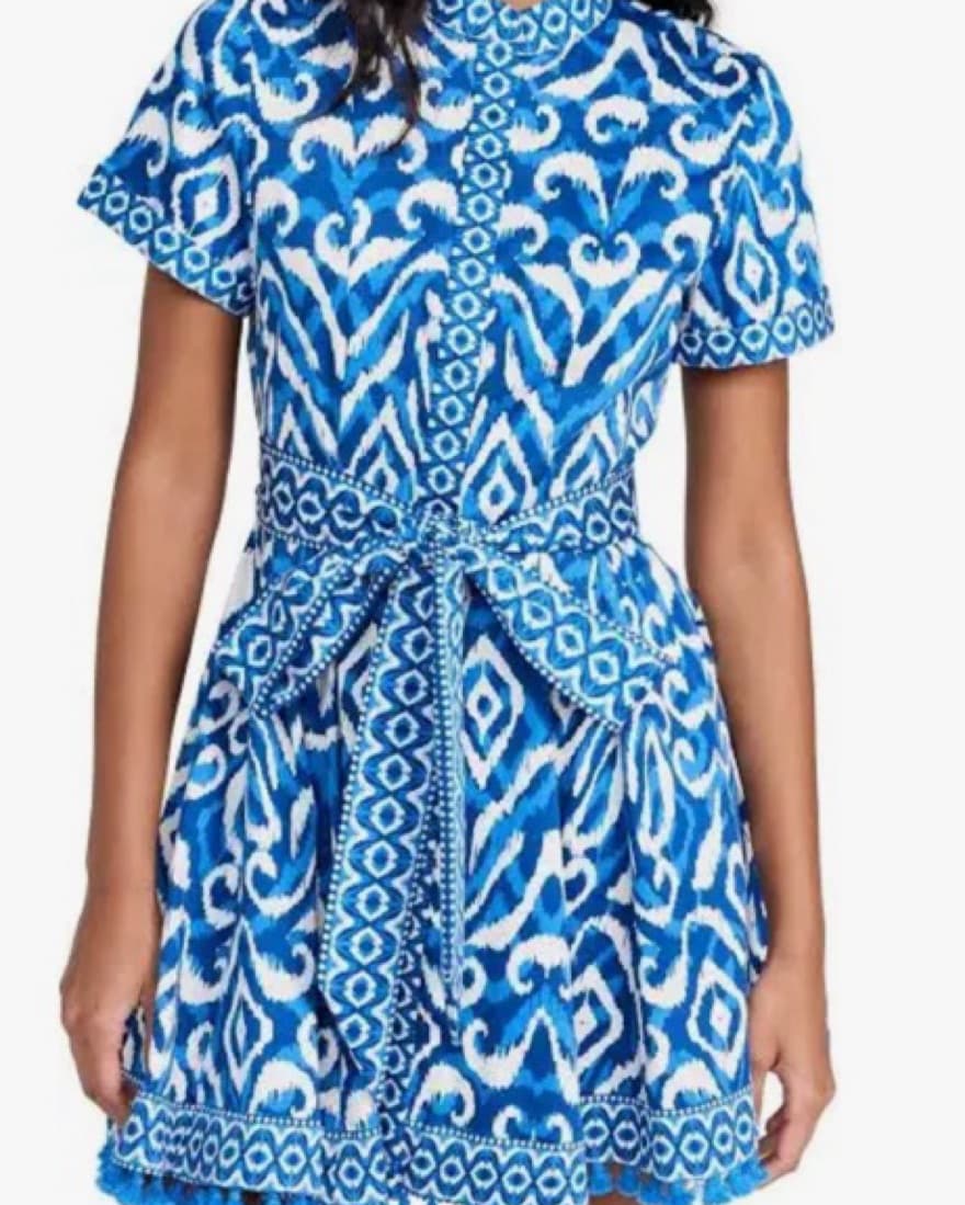 Alice and Olivia Blue and White Dress  - Image 4