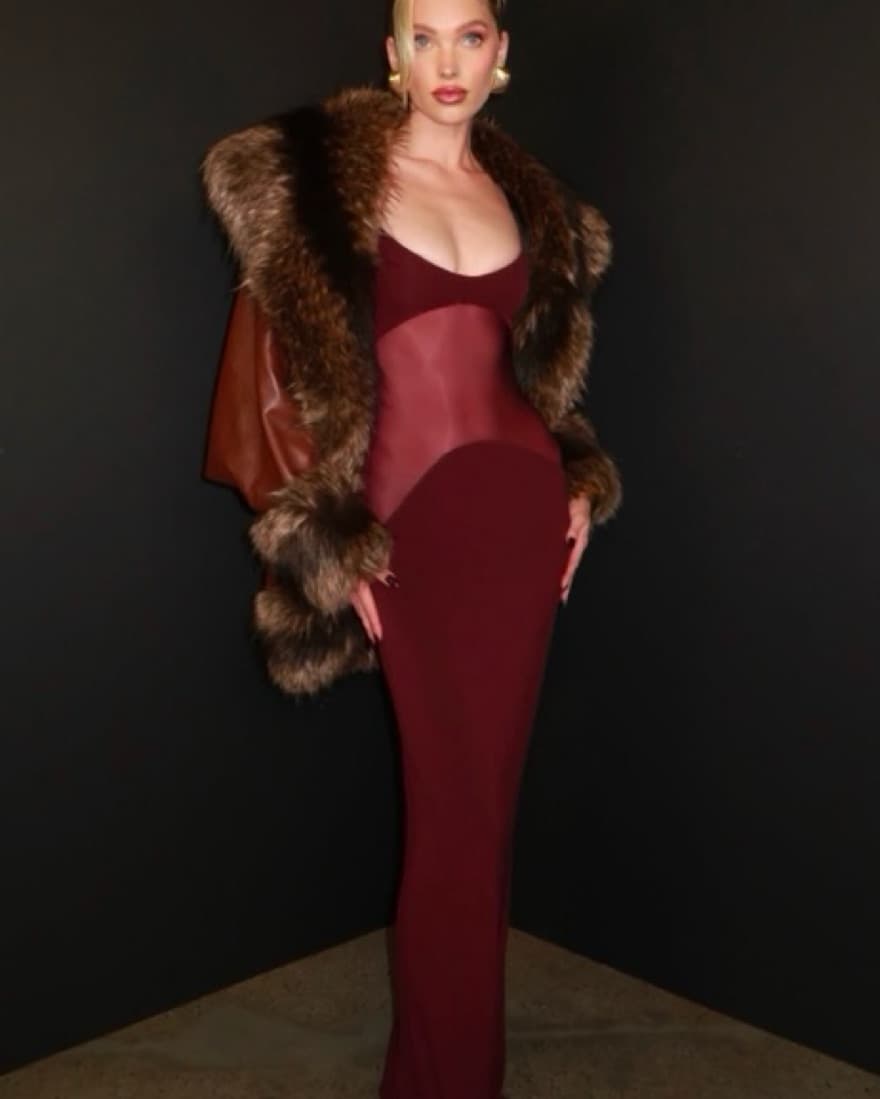 Helsa merlot dress - Image 1