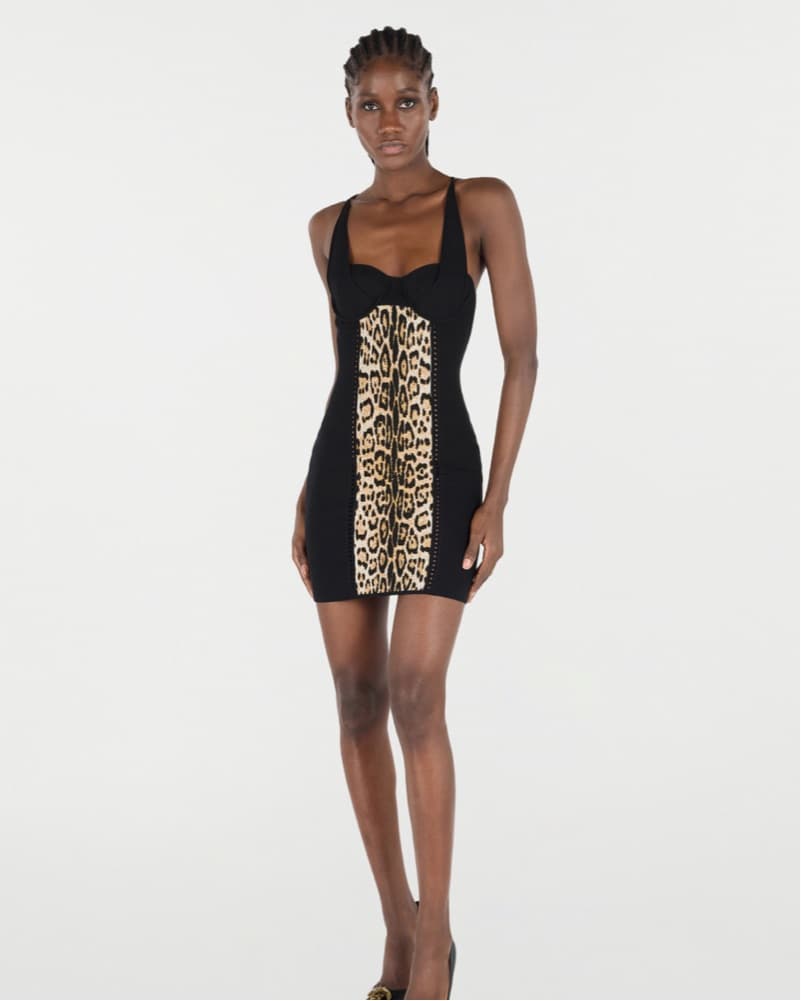 Roberto Cavalli PERFECTION!!!! - Image 1