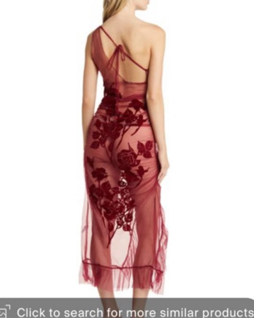 House Of Sunny La Belle Dress - Image 4