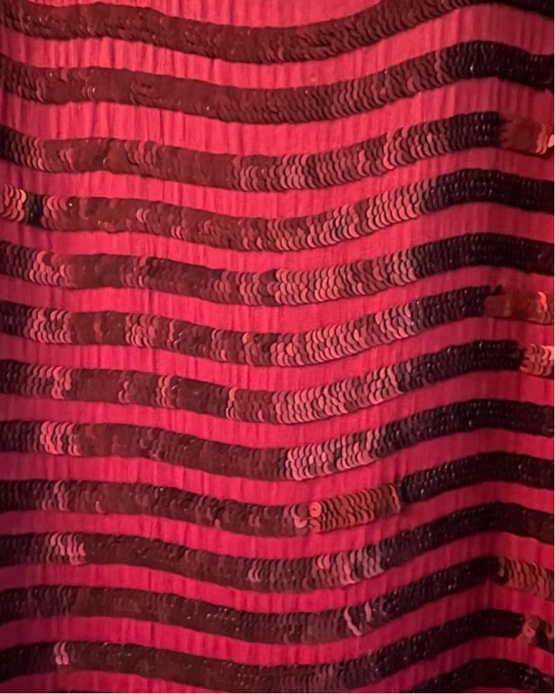 Vintage Red Sequin Striped Dress - Image 4