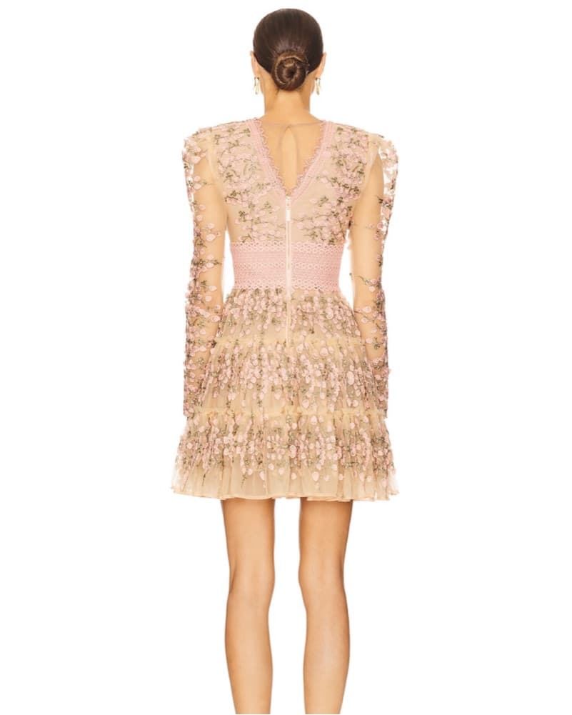 Bronx And Banco Megan Lace Mini Dress - Image 3