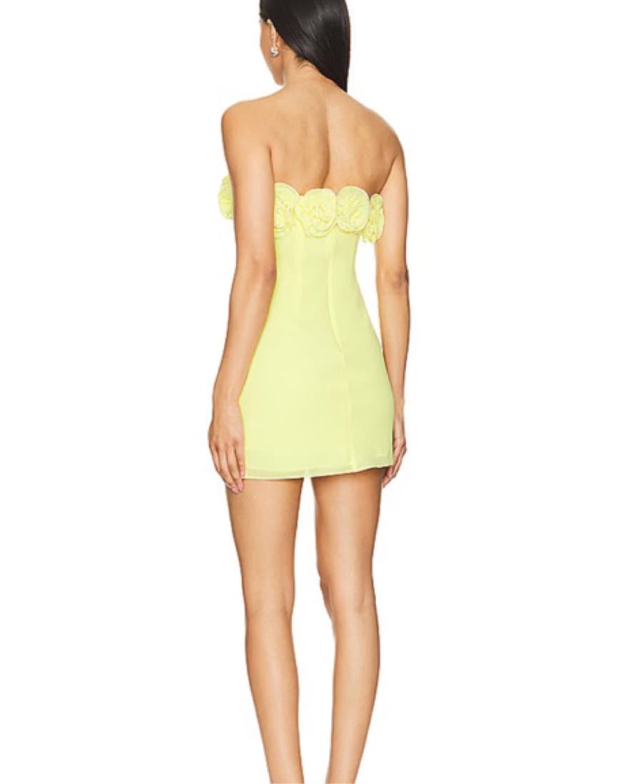 Jemma Mini Dress  - Image 2