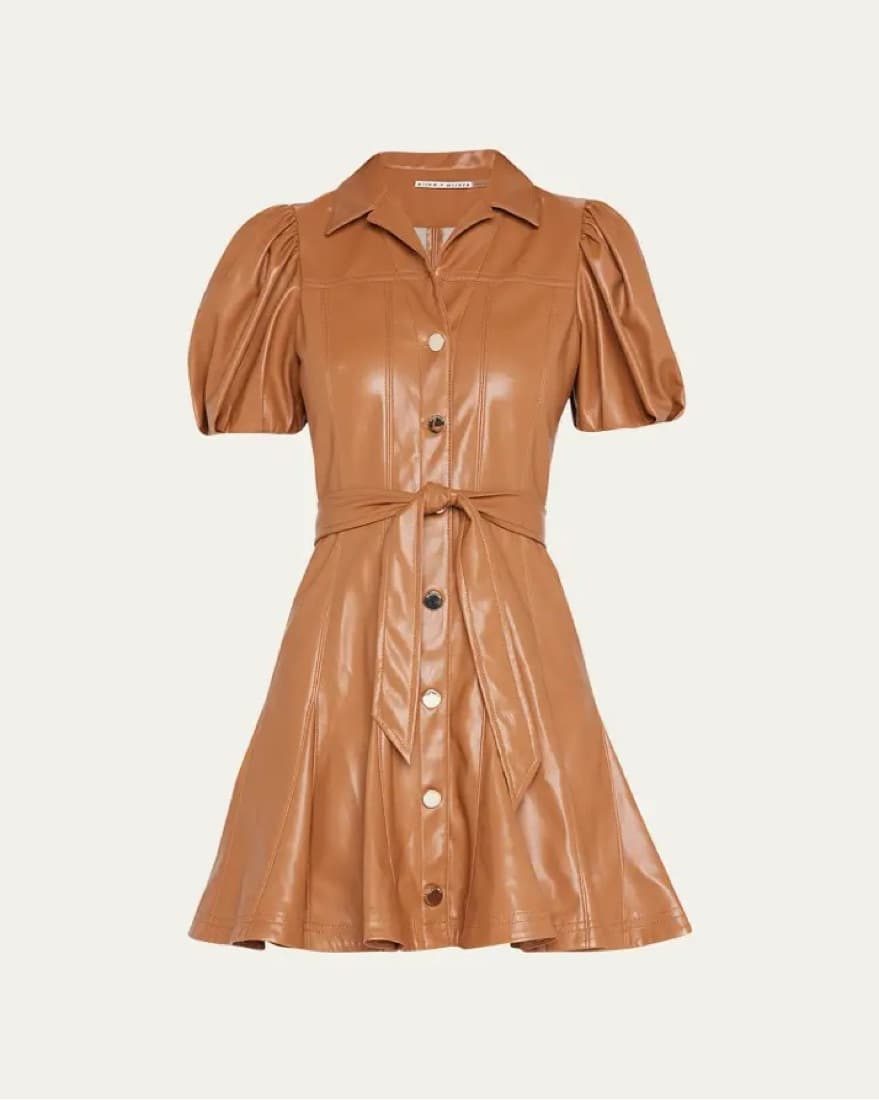 Ofra Vegan Leather Mini Dress - Image 1